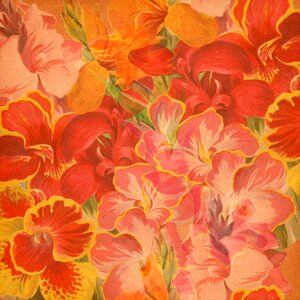 Background red pink