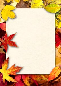 Fall foliage paper fall color