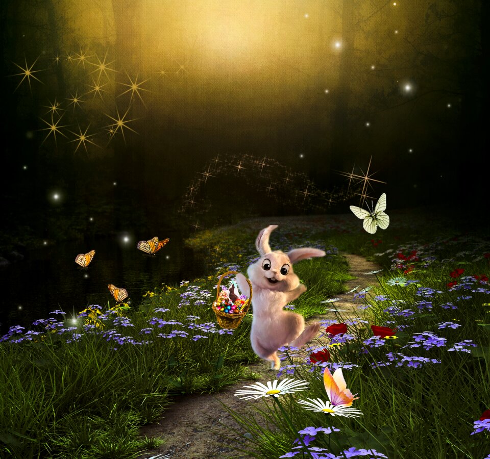 Rabbit story nature