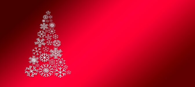 Star background white