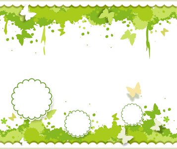 Green paint butterfly