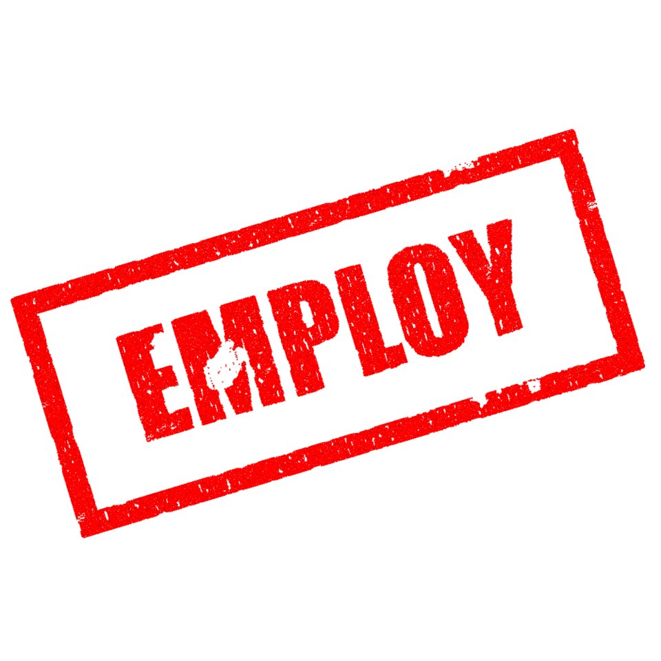 Employment business career