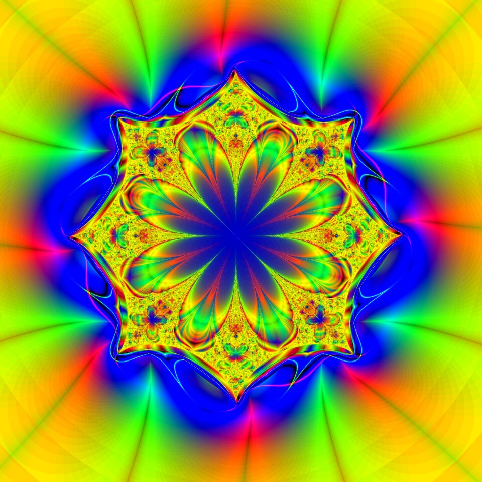 Flower multicolored creative