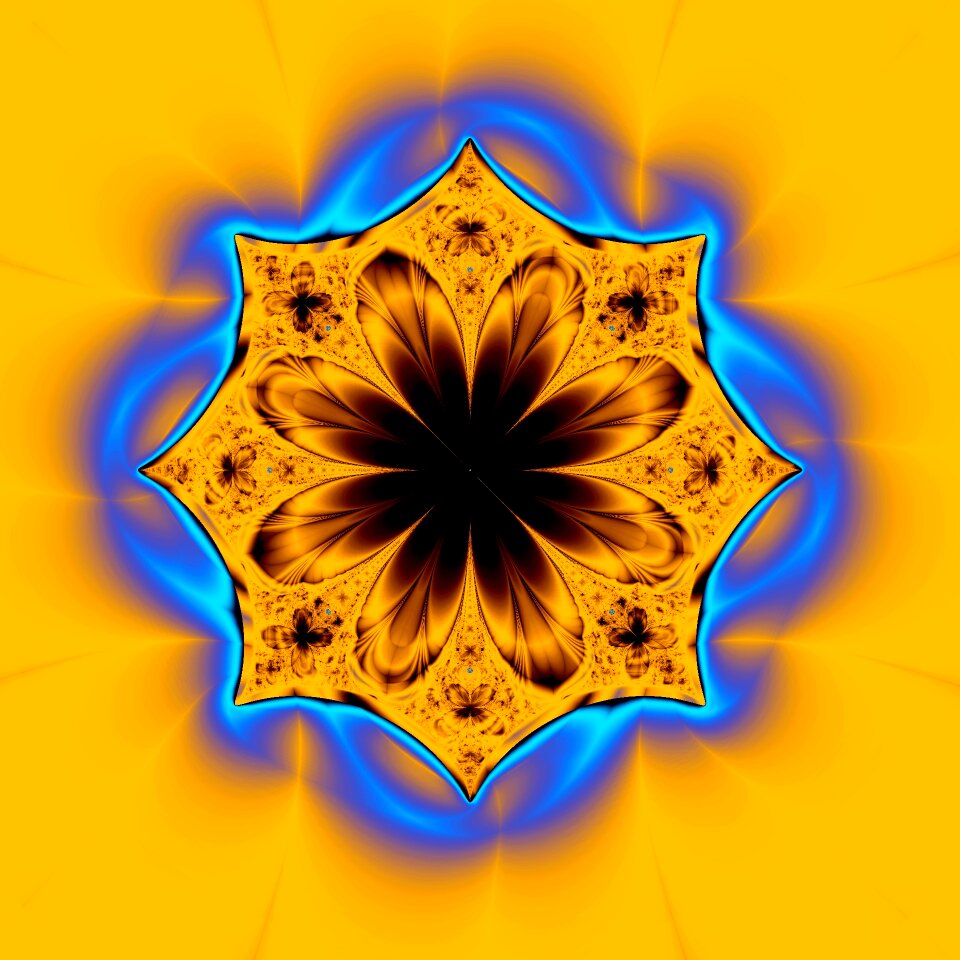 Flower yellow creative