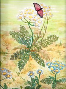 Daisy monarch wing