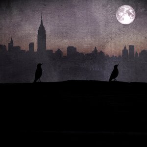 Mysterious shadow silhouette