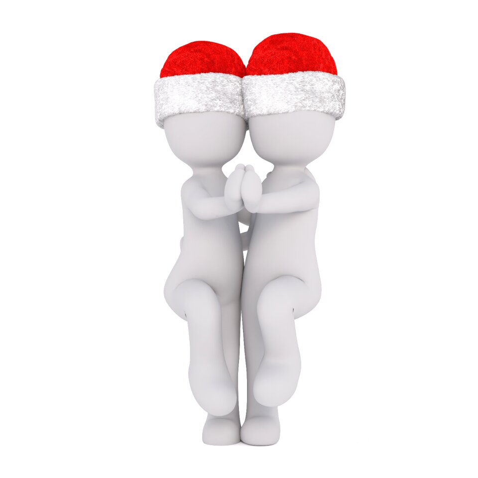 Isolated christmas 3d model