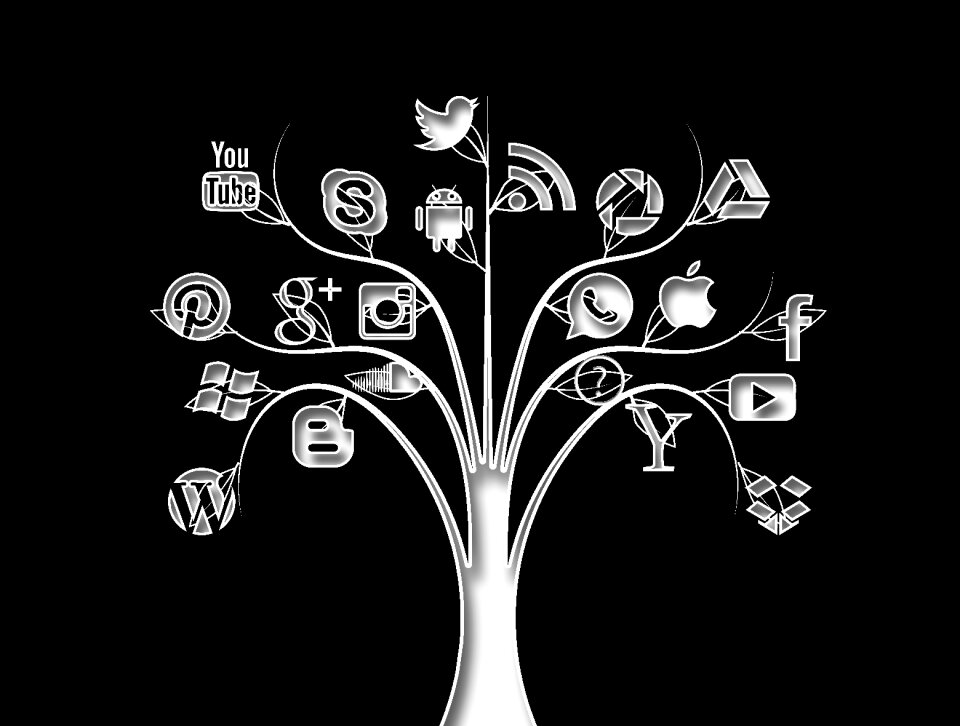 Networks internet social
