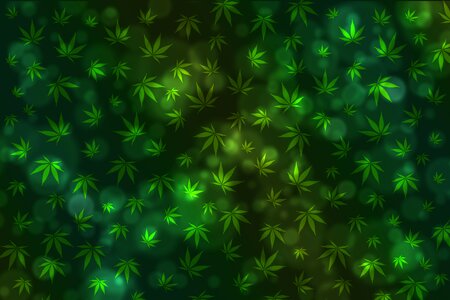 Marijuana cannabis medicine