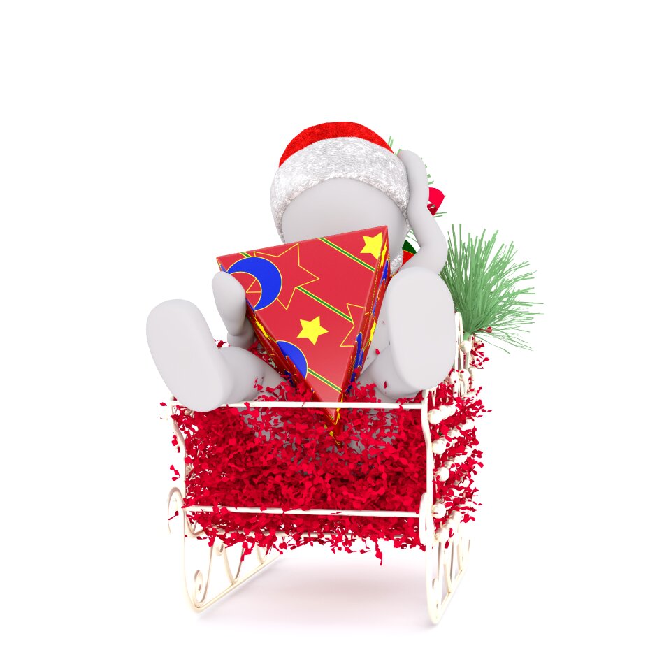Isolated christmas 3d model