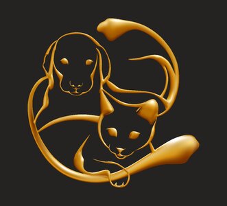 Animal jewel doré