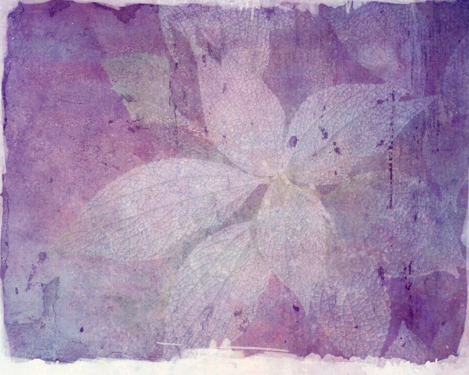 Nature foliage plant