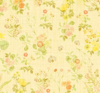 Vintage old background
