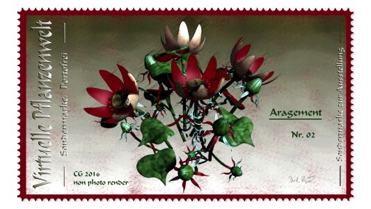 Plant nature blossom