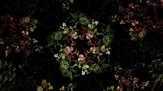 Abstract flowers fantasy