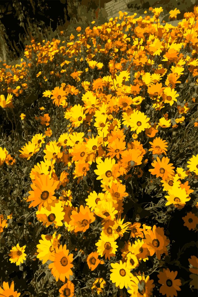 Spring nature floral