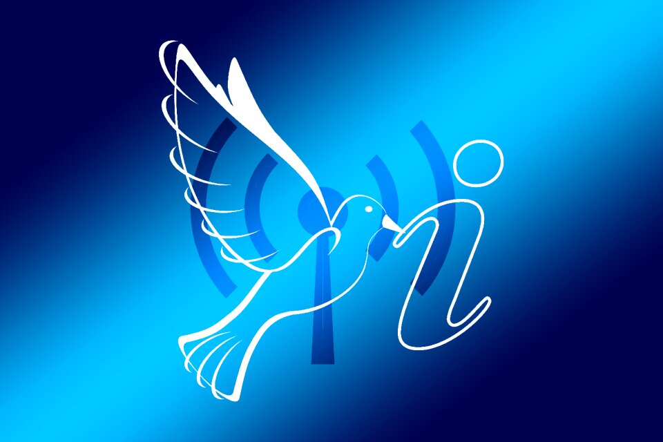 Wireless dove info