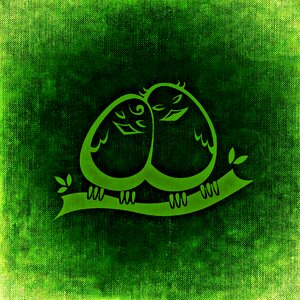 Lovers couple sweet