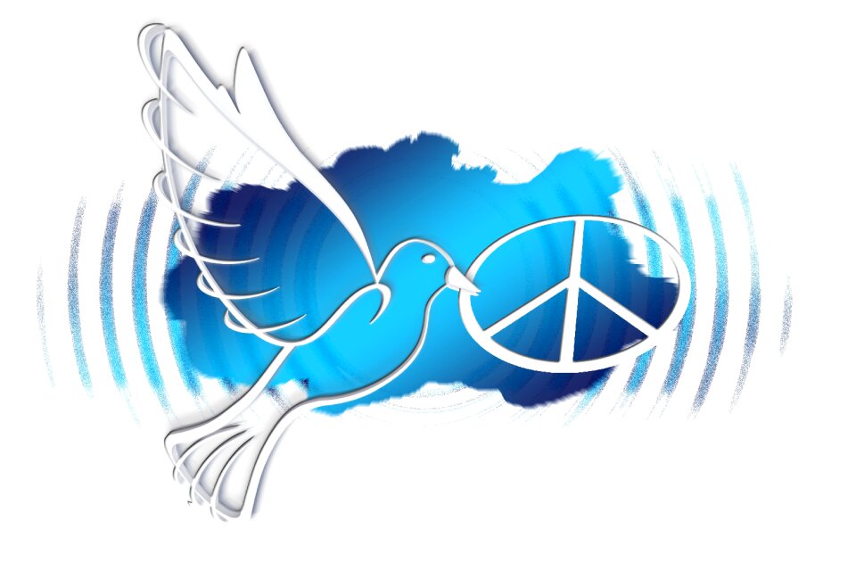 Peace dove world peace flying