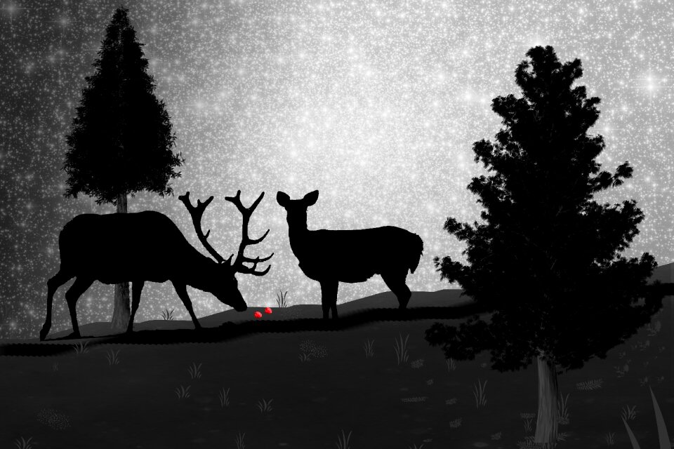 Silhouette nature antlers