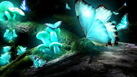 Light blue night