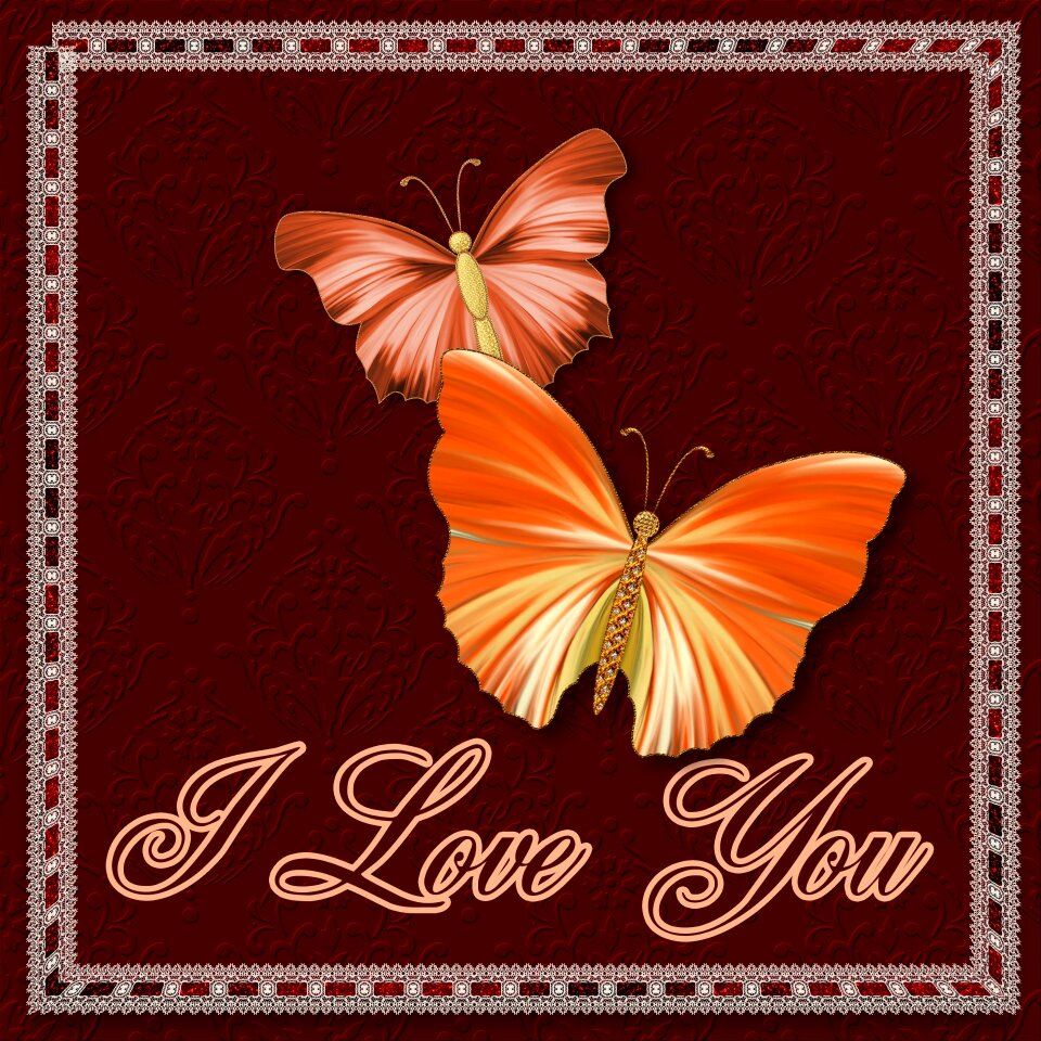 Card celebrate gift