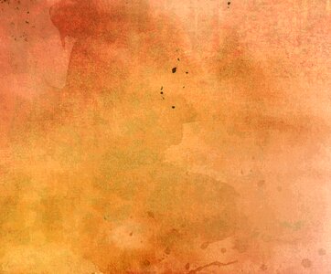 Fall color peach abstract