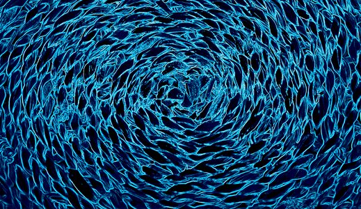 Texture blue turquoise