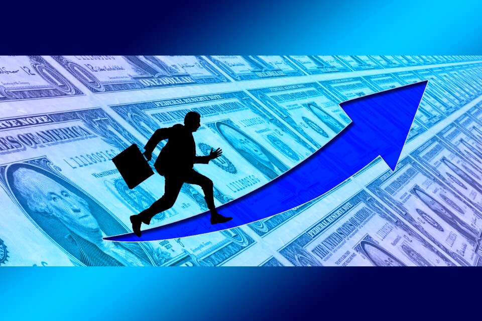 Curve dollar silhouette