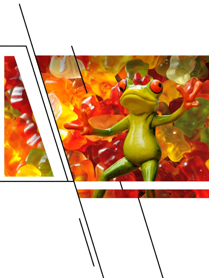 Frog figure candy