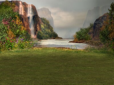 Waterfall meadow flowers
