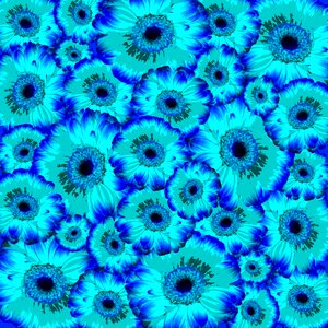 Nature blue bright