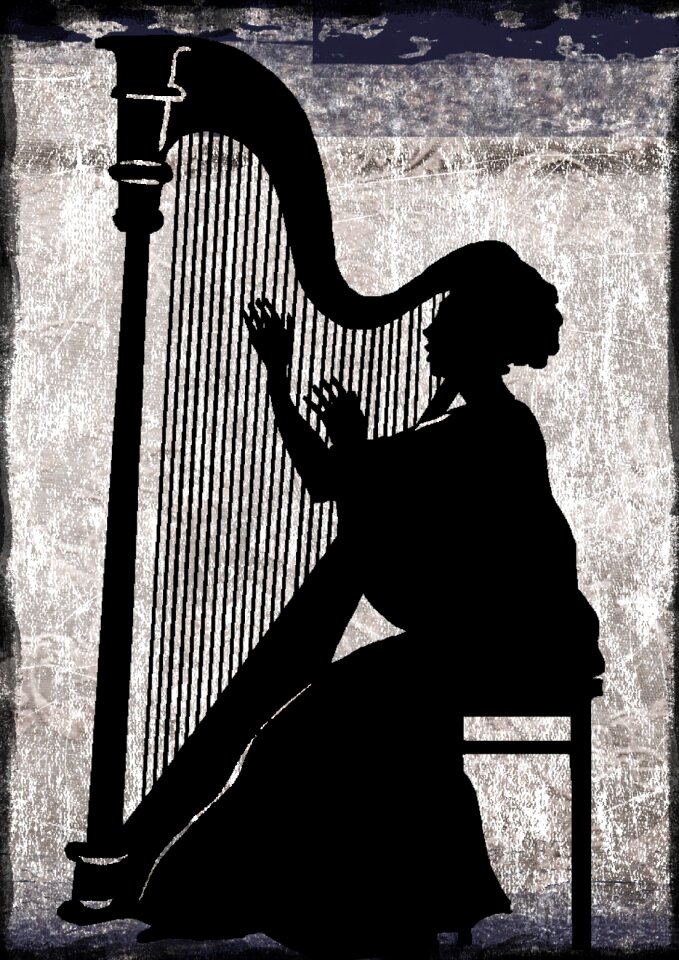 Concert event music