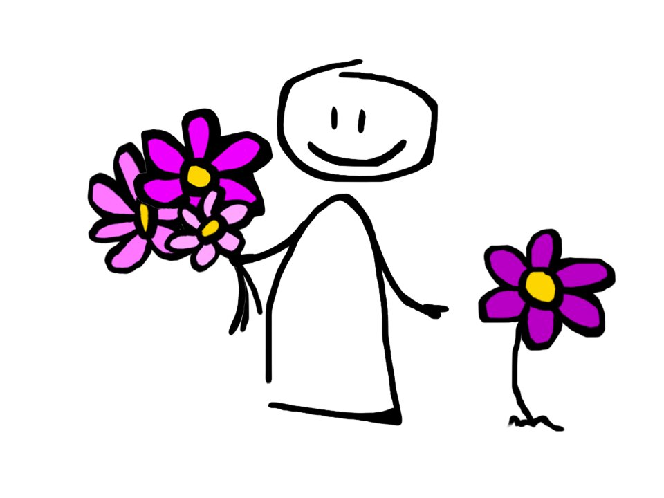 Sketch illustration graphics