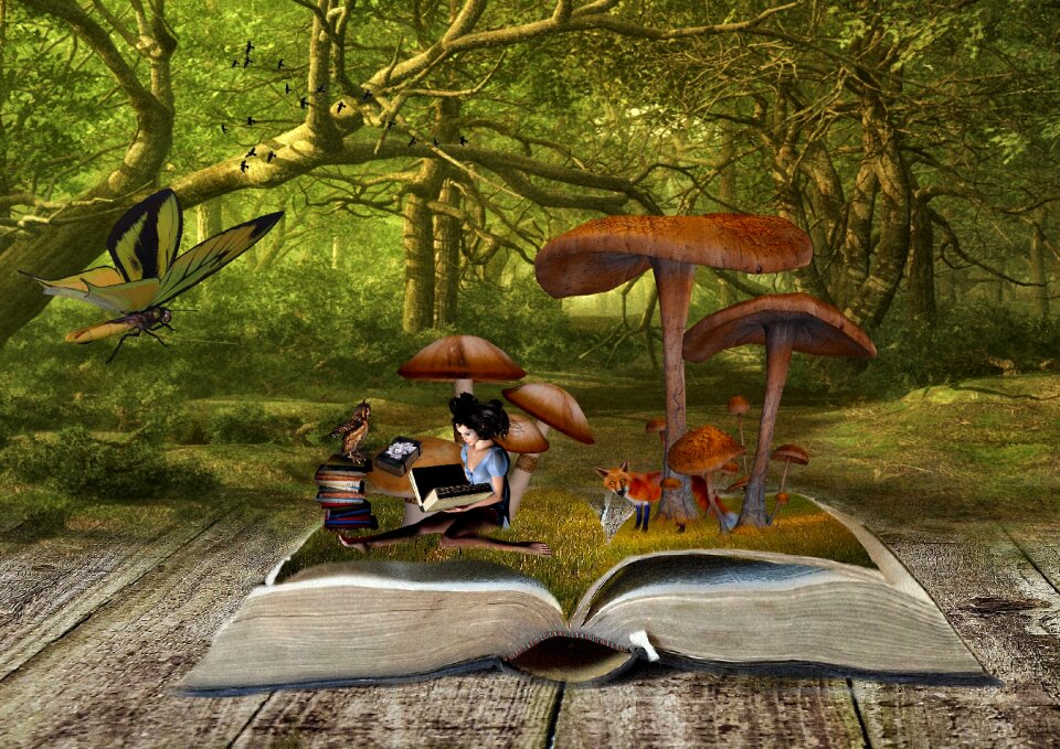 Books fantasy fuchs