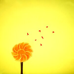 Photography creativity minimal