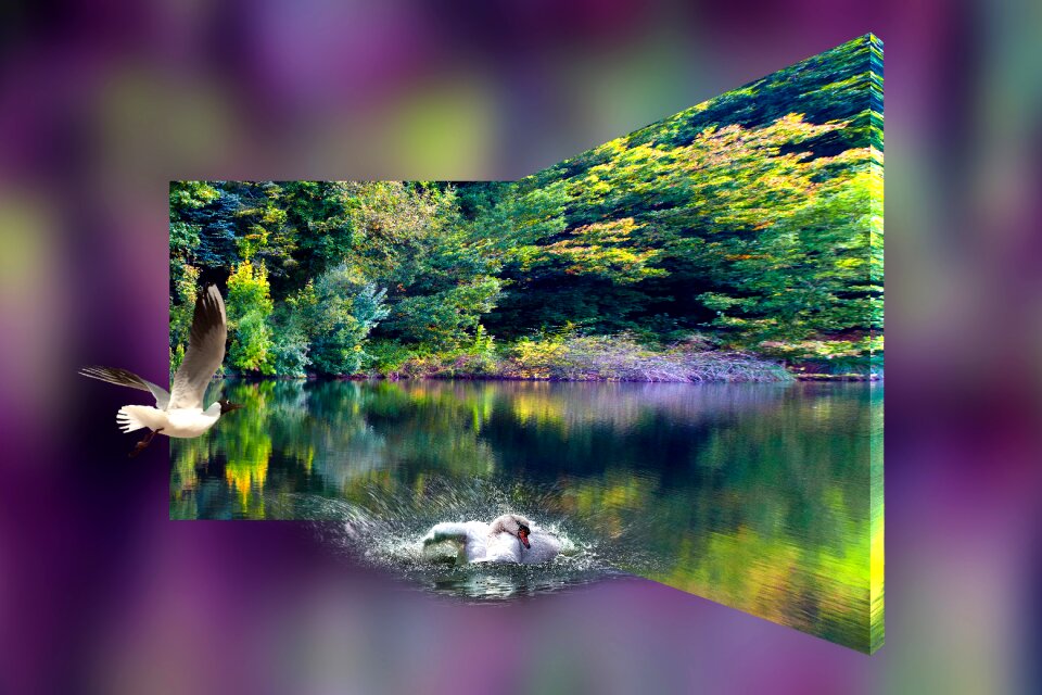 Table lake Free illustrations