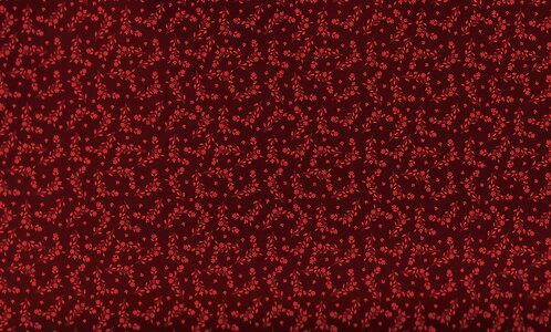 Floral design red Free illustrations