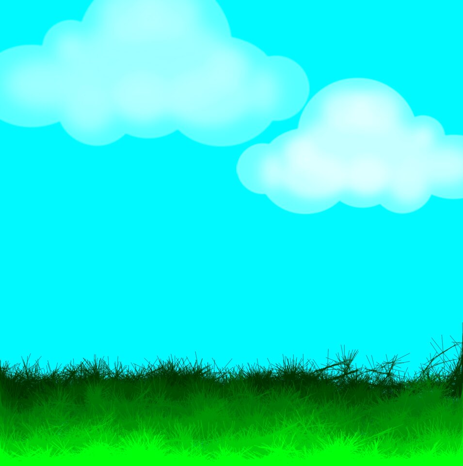 Sunny day daylight