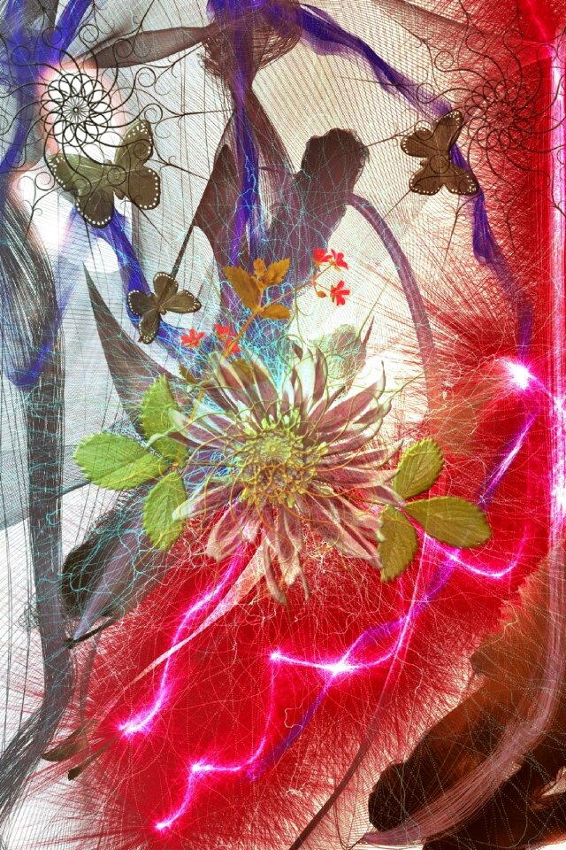 Flowers greeting card Free illustrations