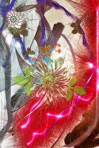Flowers greeting card Free illustrations