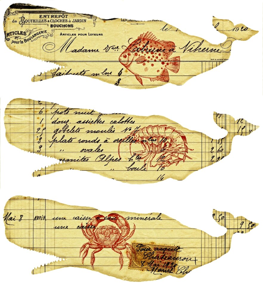 Nautical fish Free illustrations