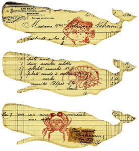Nautical fish Free illustrations