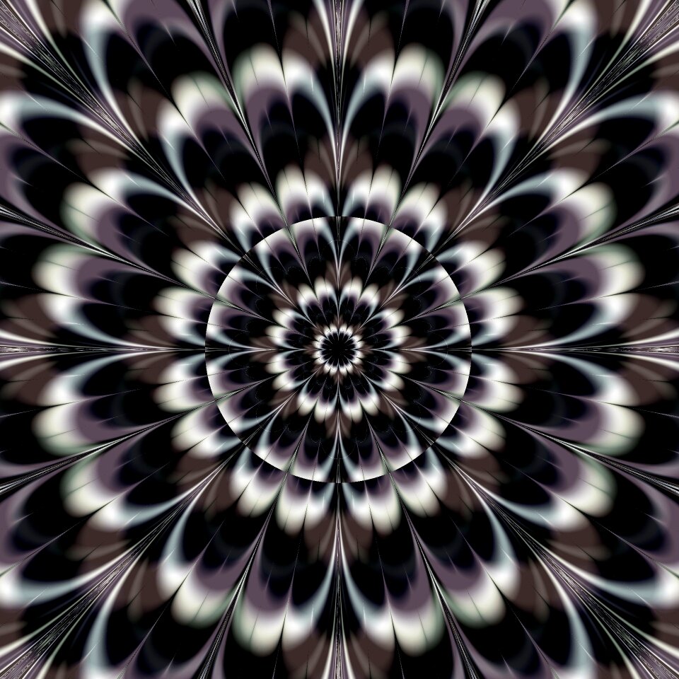 Fractal flower Free illustrations