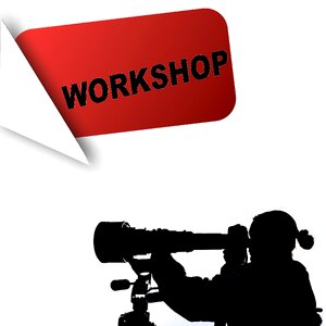 Seminar group coaching
