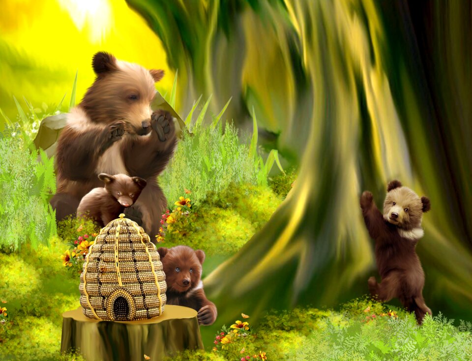 Forest family fun