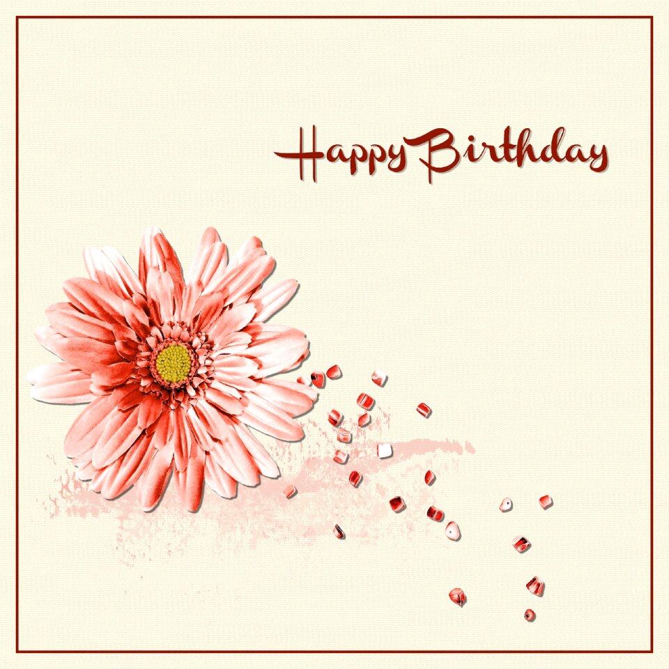 Birthday woman Free illustrations