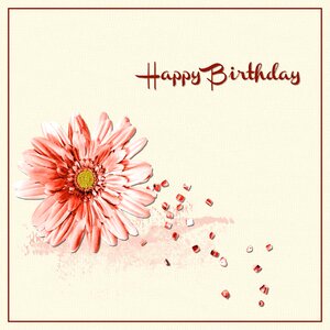 Birthday woman Free illustrations