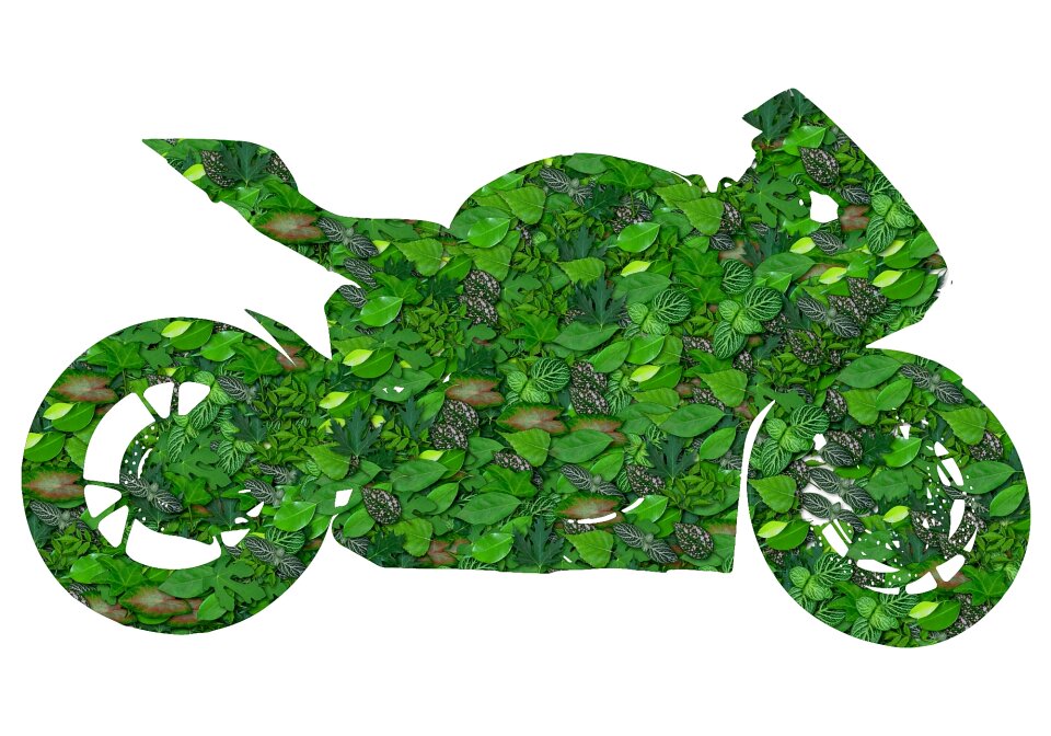 Green ecological Free illustrations