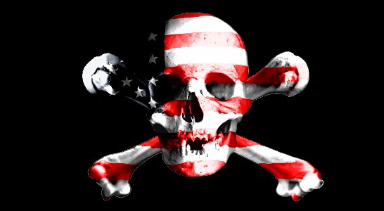 Skull and crossbones pirate pirate flag